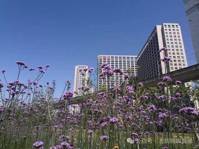 2025智慧城广场网站--昆山开元ky棋牌花桥智慧城广场-(图3)