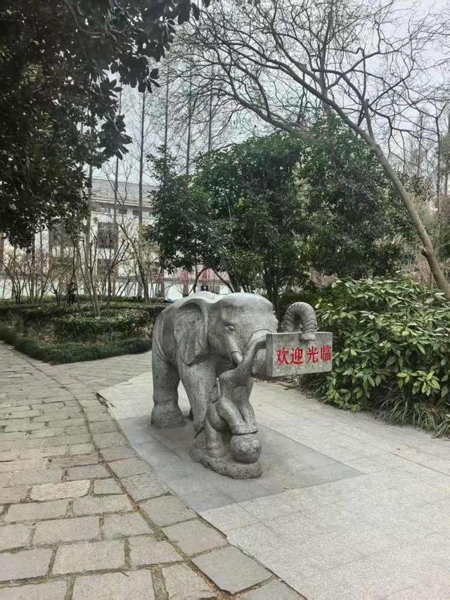 于上世纪60年代的大象滑梯全新亮相还带来一个儿童乐园开元棋牌网站这个滑梯你小时候玩过吗？杨浦公园改造始(图2)